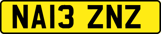 NA13ZNZ