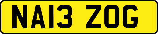NA13ZOG