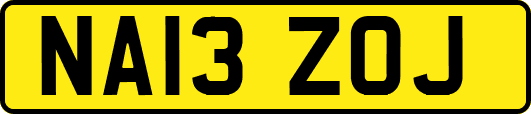 NA13ZOJ