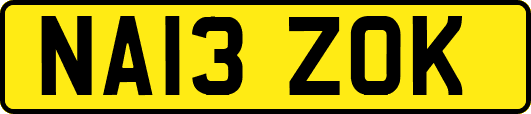NA13ZOK
