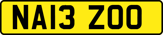 NA13ZOO
