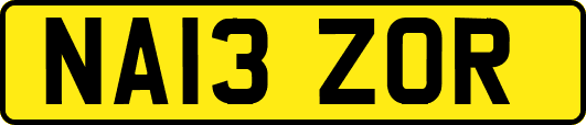 NA13ZOR