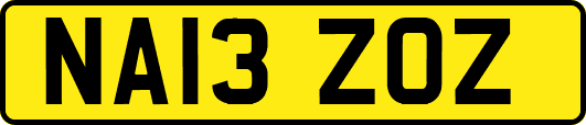 NA13ZOZ