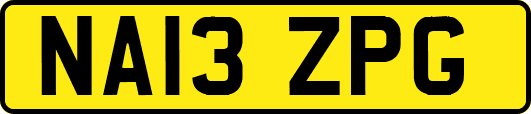 NA13ZPG