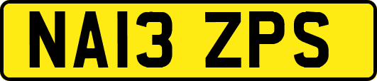 NA13ZPS