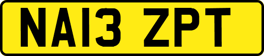 NA13ZPT