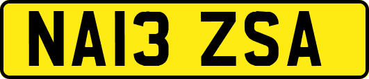 NA13ZSA