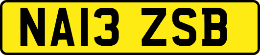 NA13ZSB