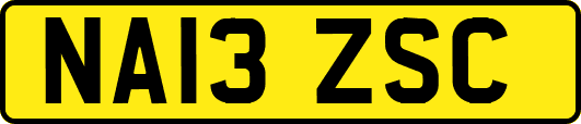 NA13ZSC