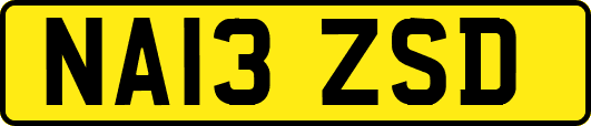 NA13ZSD