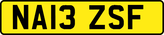 NA13ZSF