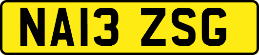 NA13ZSG