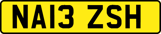 NA13ZSH