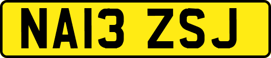 NA13ZSJ