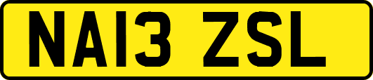 NA13ZSL