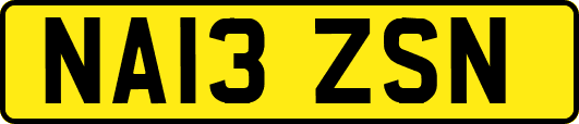 NA13ZSN