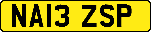 NA13ZSP