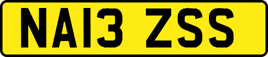 NA13ZSS