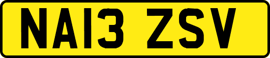NA13ZSV