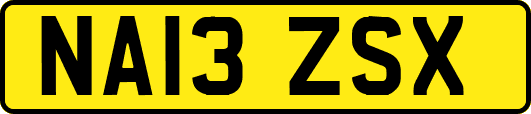 NA13ZSX
