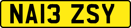 NA13ZSY
