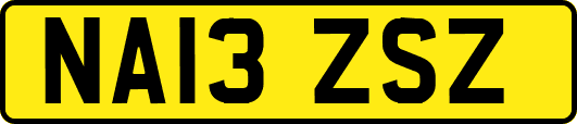 NA13ZSZ