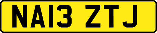 NA13ZTJ