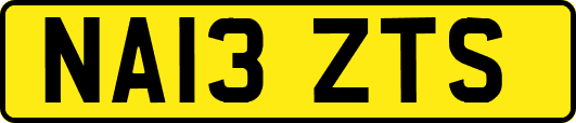 NA13ZTS