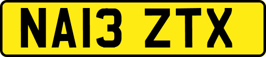 NA13ZTX