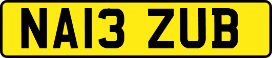NA13ZUB