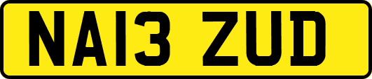 NA13ZUD