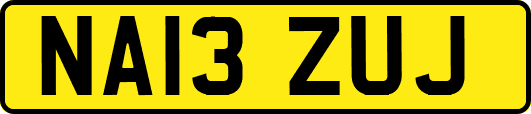 NA13ZUJ