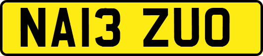 NA13ZUO