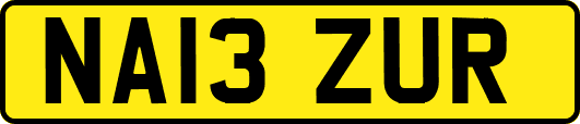 NA13ZUR