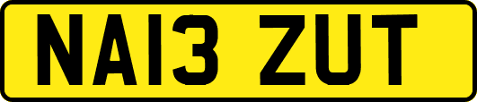 NA13ZUT
