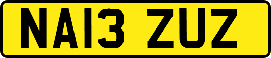 NA13ZUZ