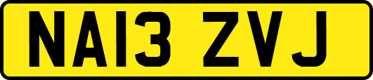NA13ZVJ