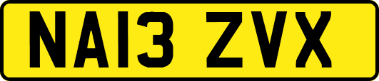 NA13ZVX
