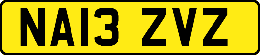 NA13ZVZ