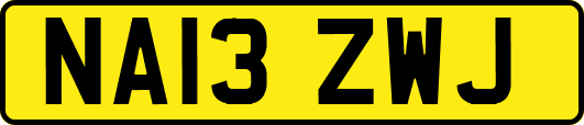 NA13ZWJ
