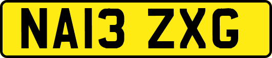 NA13ZXG