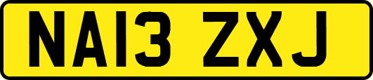NA13ZXJ