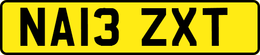 NA13ZXT