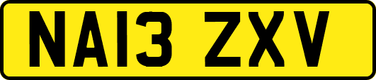 NA13ZXV