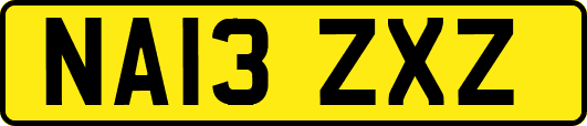 NA13ZXZ