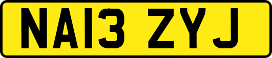 NA13ZYJ