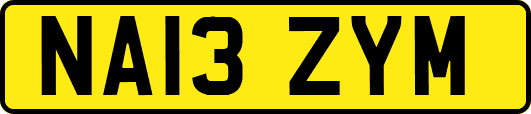 NA13ZYM