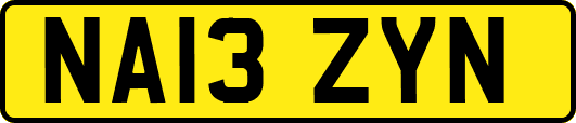 NA13ZYN
