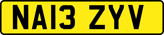 NA13ZYV