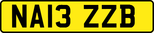NA13ZZB